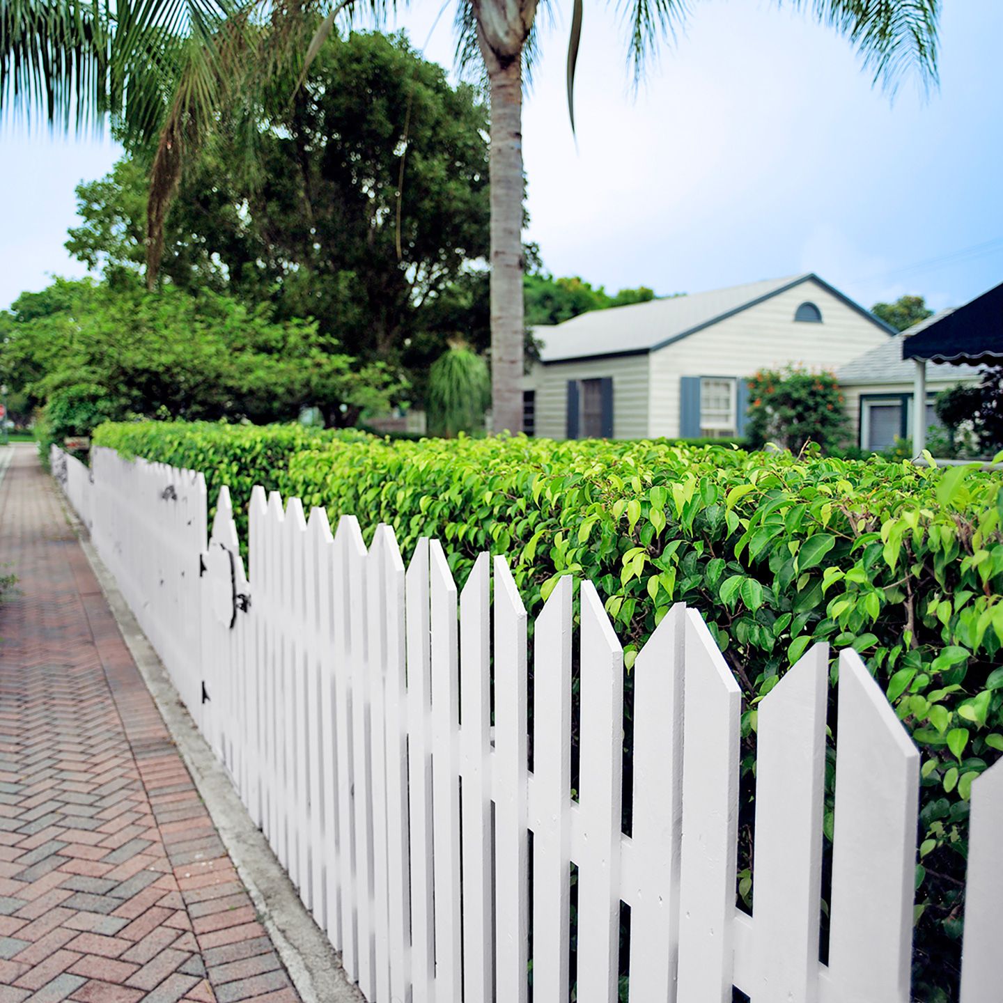 A picket fence with dual picket posts.