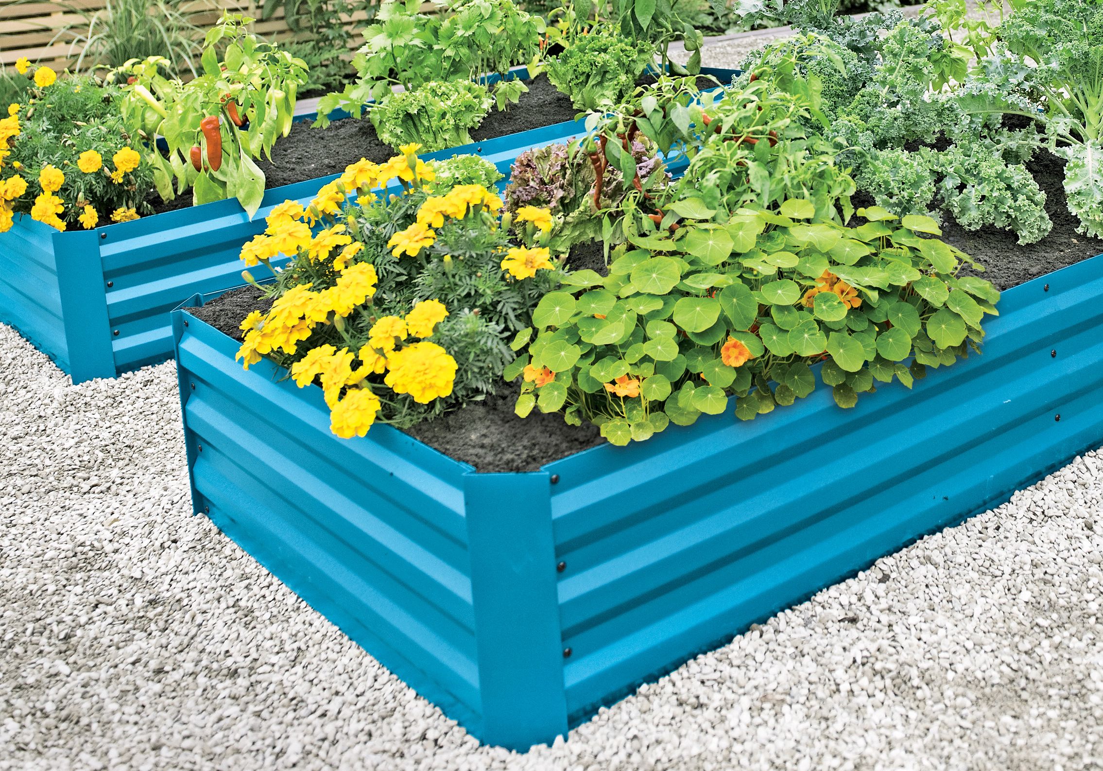 A metal garden bed sitting on gravel.