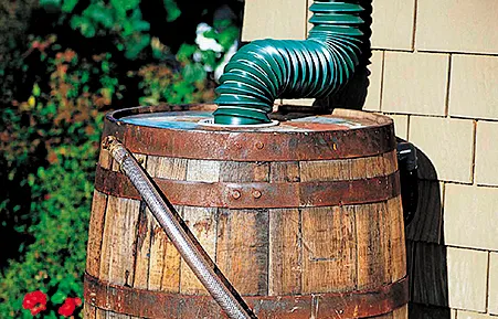 an oak rain barrel