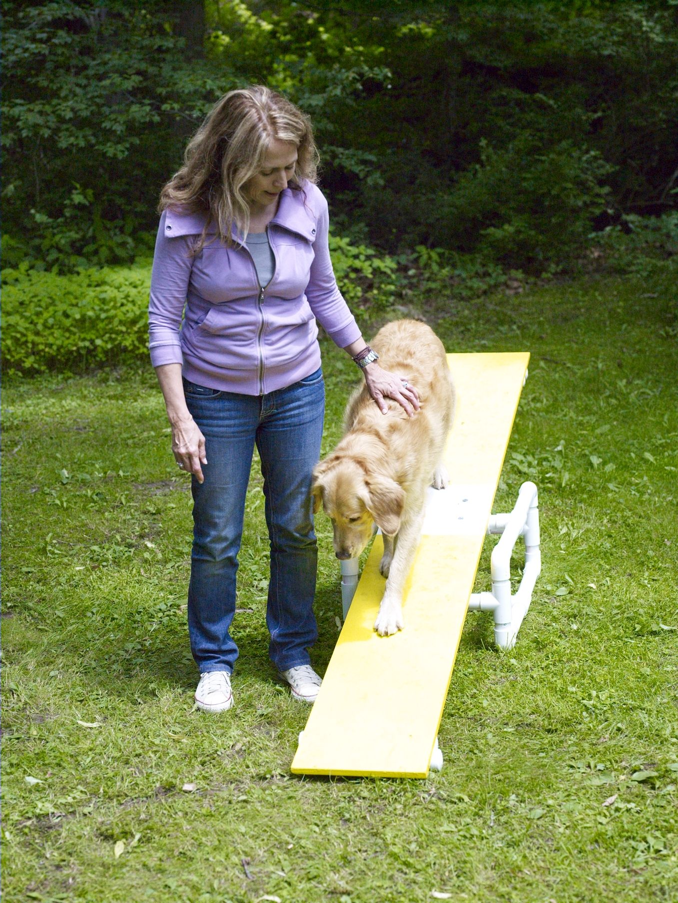 DIY: How to Make Your Own Dog Agility Course - Petful