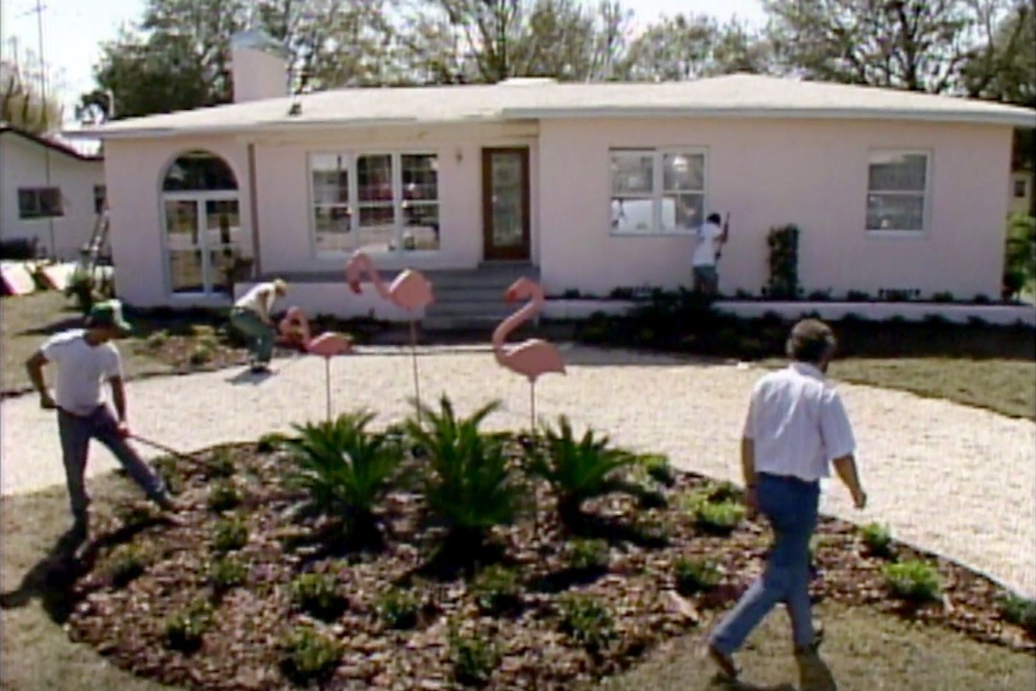 toh_s07_tampa_1986