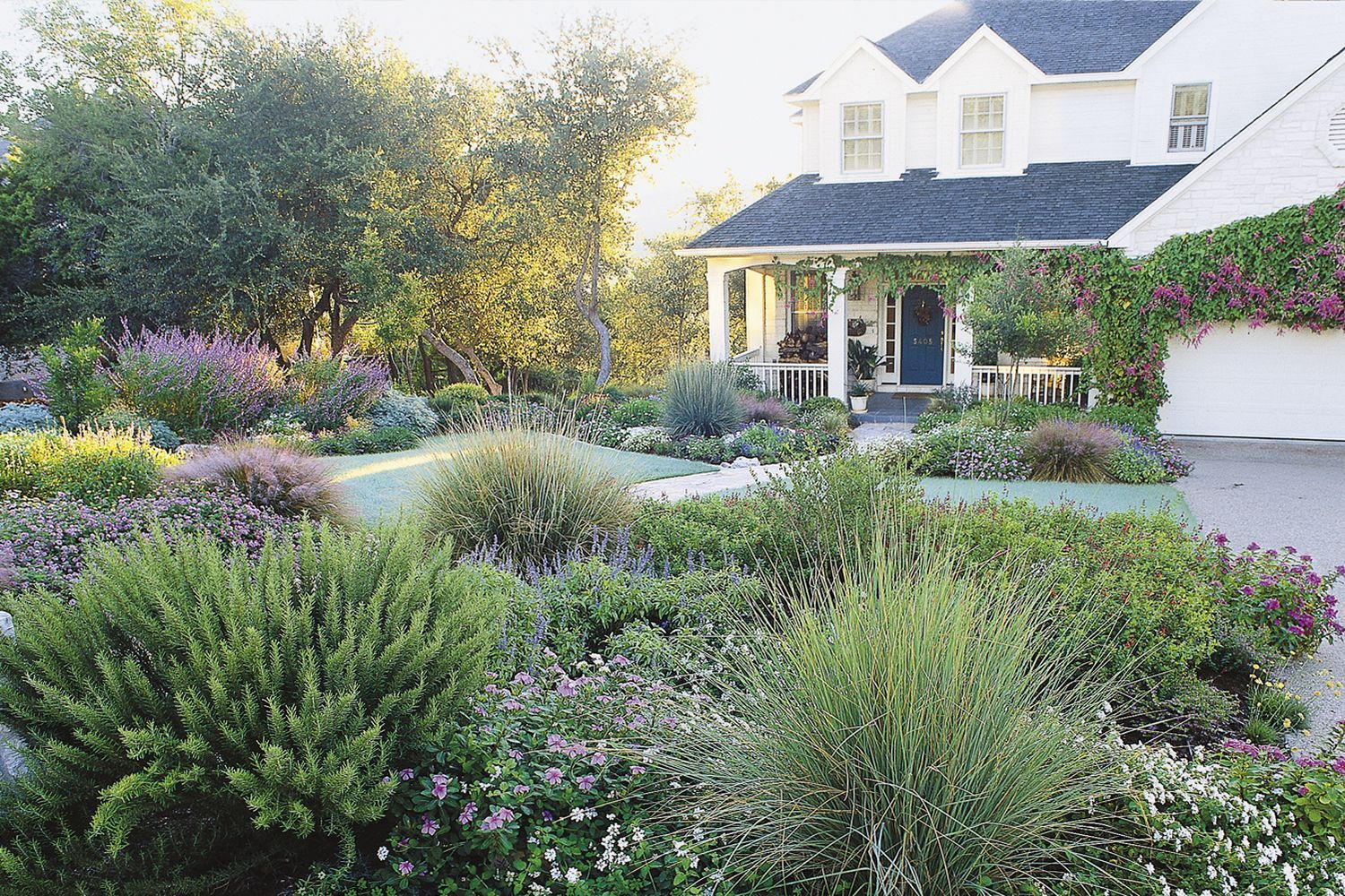 House with a lawn-less front yard design