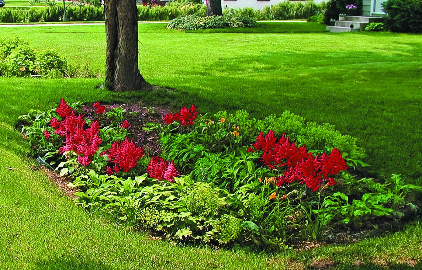 A functional rain garden to help with rainwater drainage.