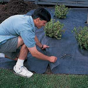 laying a landscape fabric over the ground to smother the weeds