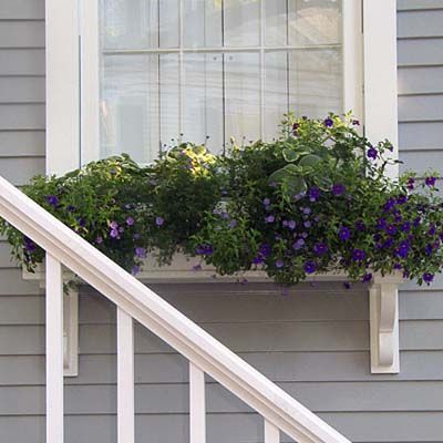 Window-Box Basics - This Old House