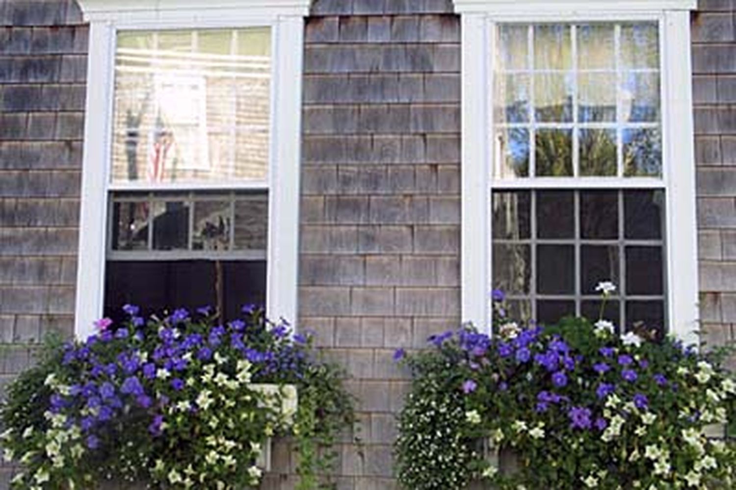 A pair of window boxed with flowers planted in them.
