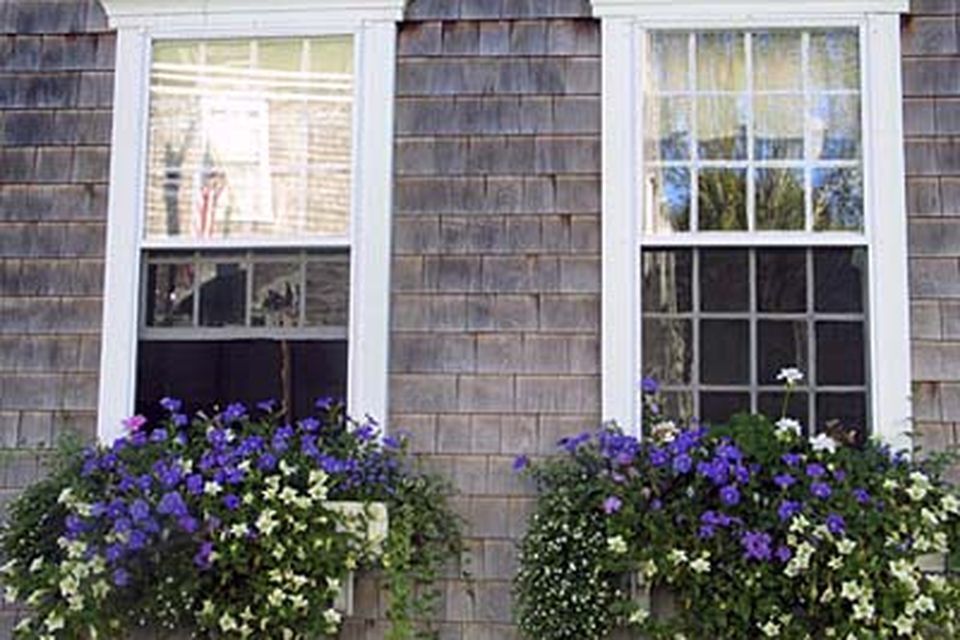 A pair of window boxed with flowers planted in them.