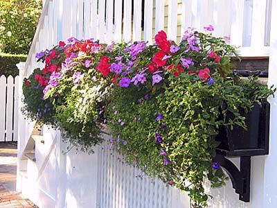 Window-Box Basics - This Old House