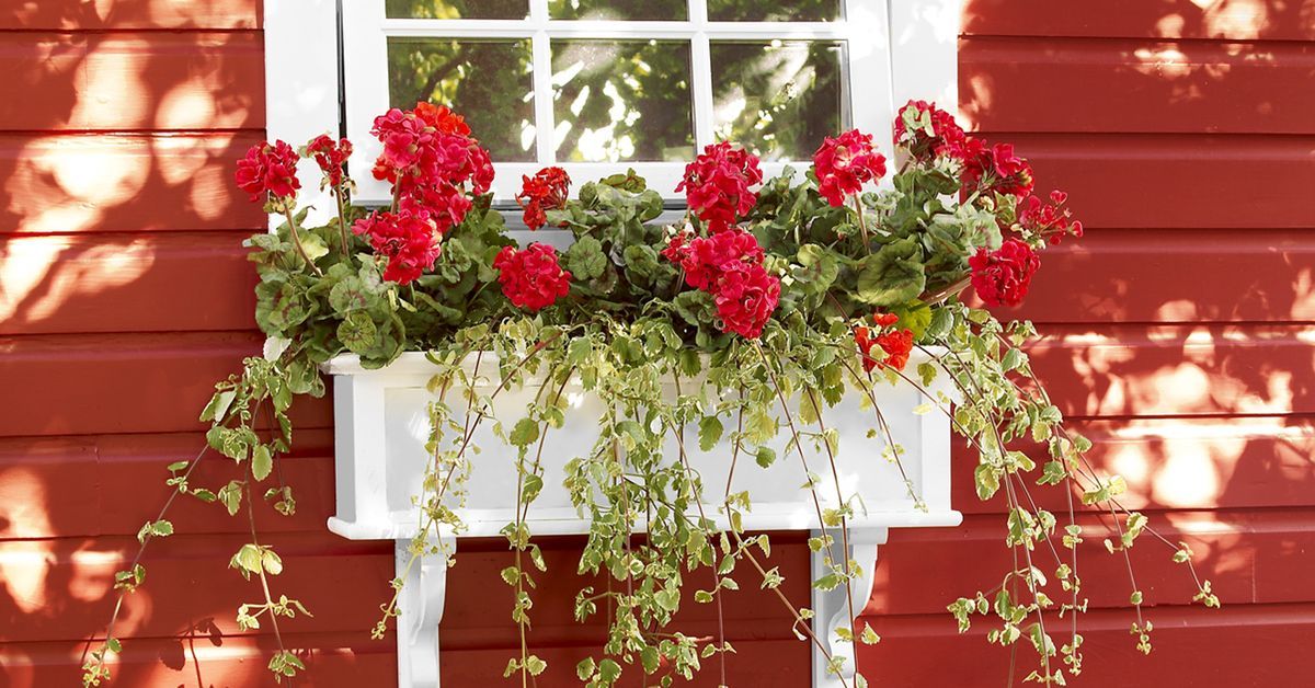 PVC window box holding red flowers and hanging below the window of a house with red siding.