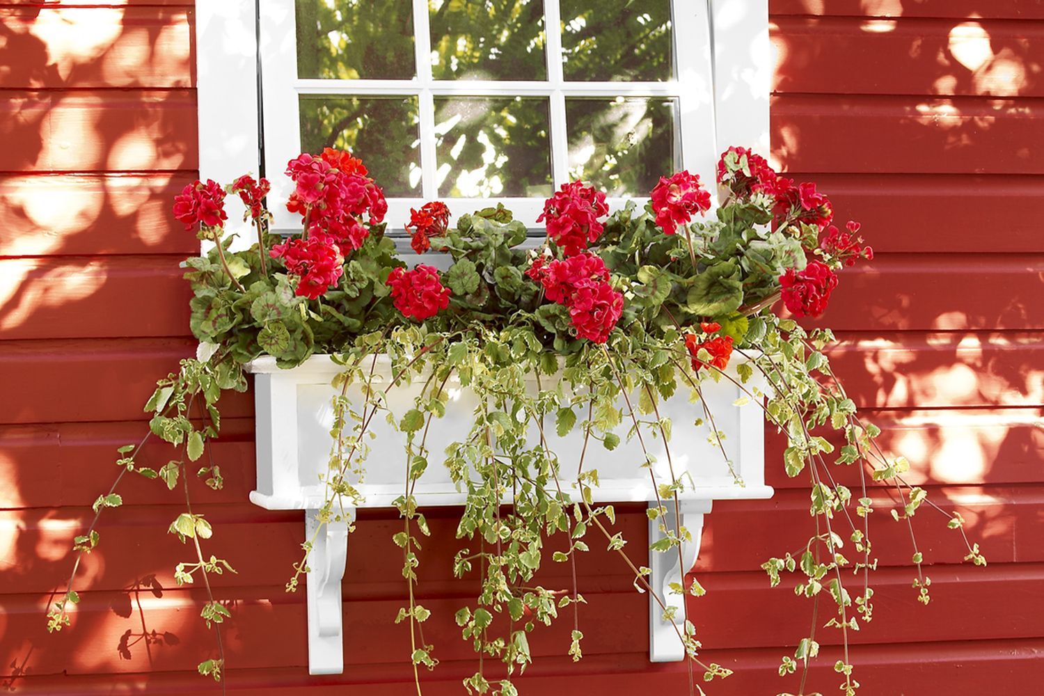 PVC window box holding red flowers and hanging below the window of a house with red siding.