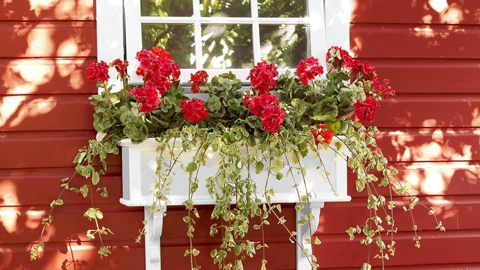 PVC window box holding red flowers and hanging below the window of a house with red siding.