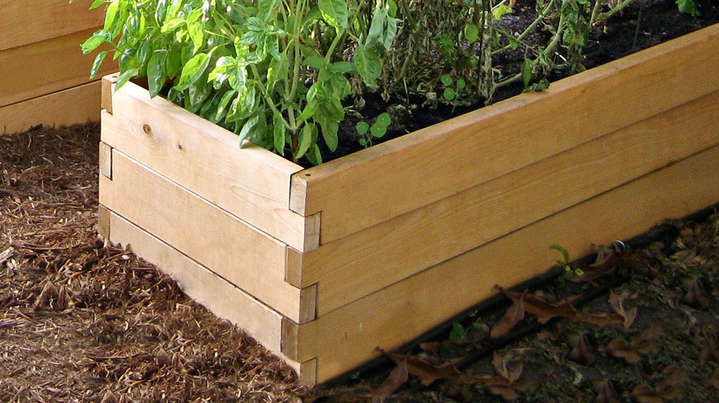 A wooden garden bed sitting in the dirt.