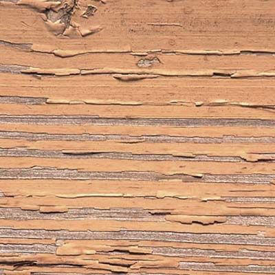 Wood Stain Guide
