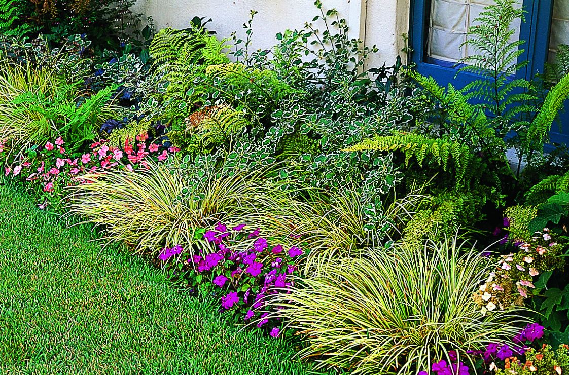 A foliage display including wintercreeper, ferns, and grasses.