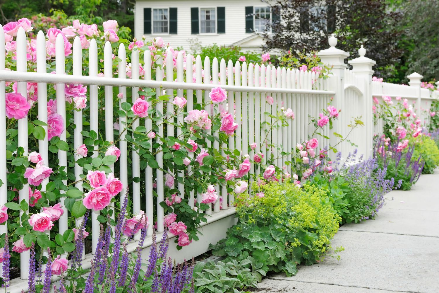 Fences_iStock-149064591.0