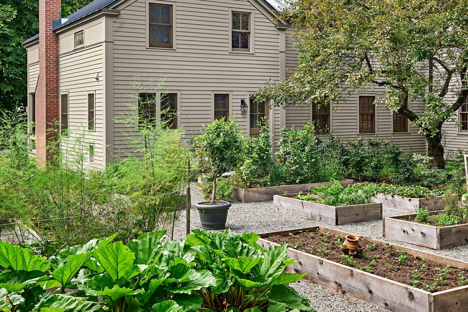 Gardening_0719-Beck_8.30.183184.0