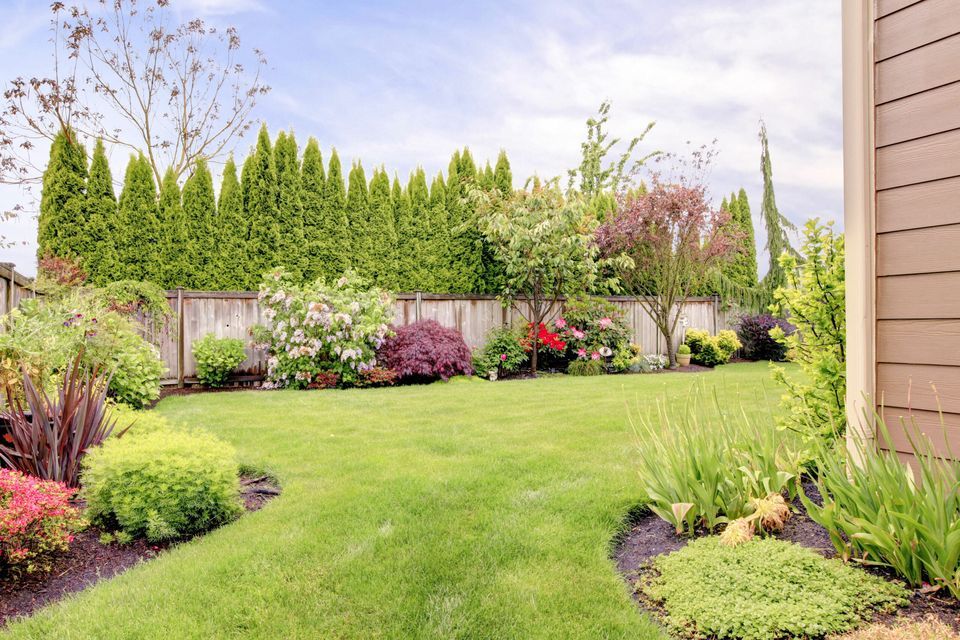 A landscaped yard with multiple gardens and trees.