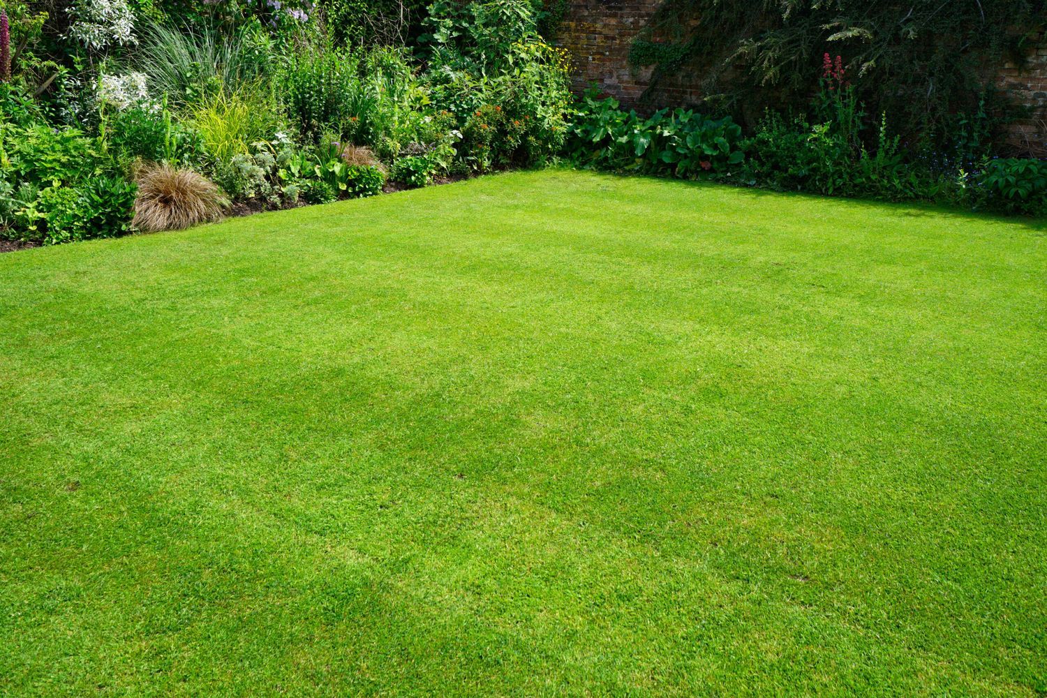 Lawn_iStock-502848762.0