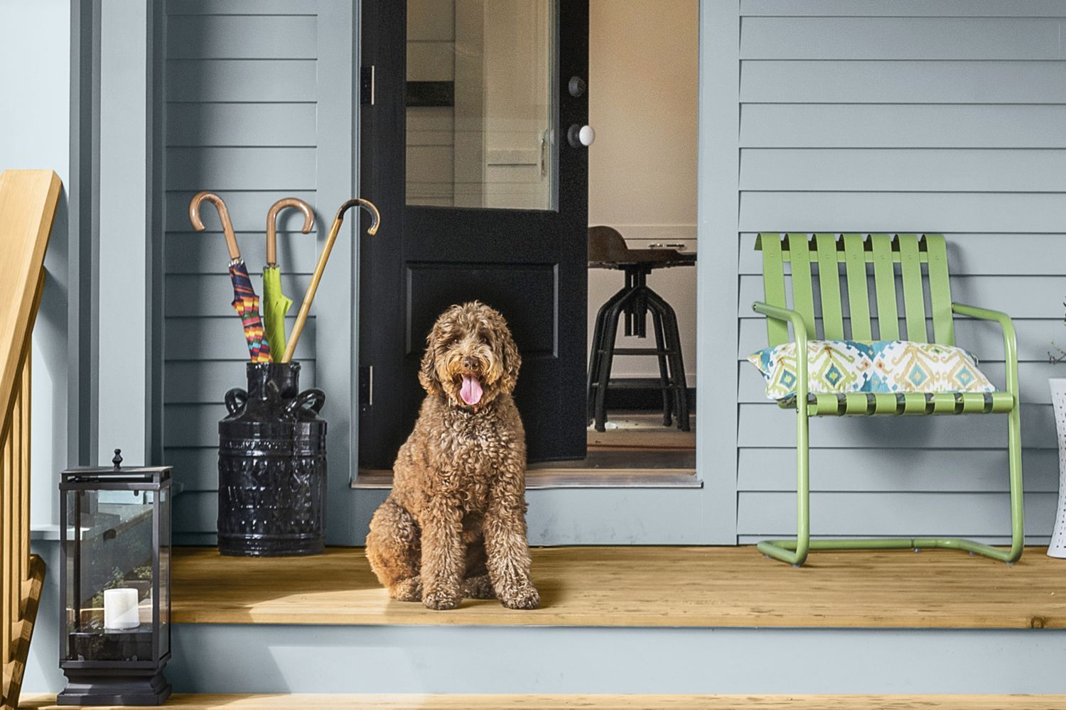 Pets_1118_IdeaHouse_18_072.0