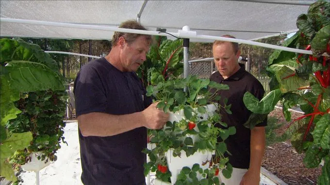 ask_1309_hydroponic