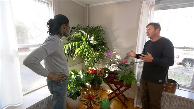 ask_1324_houseplants