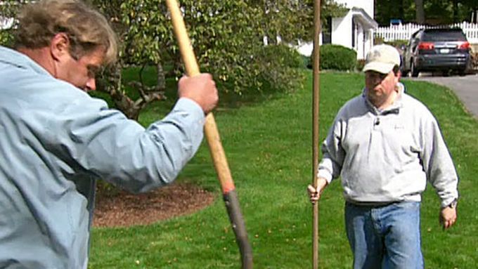 Two men standing on a lawn with crabgrass.