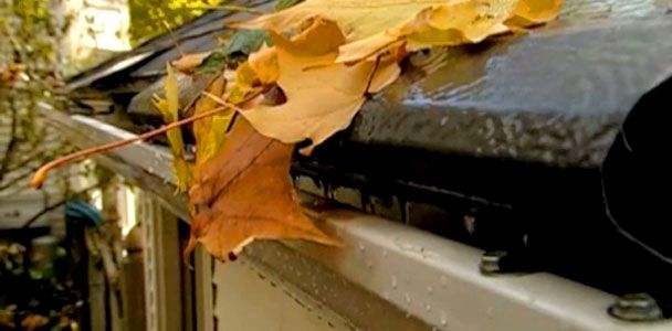 How To Make Your Gutters Leaf-Proof