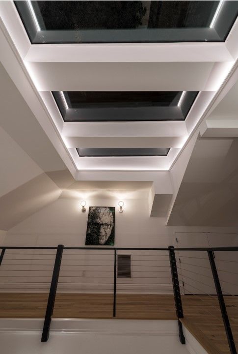 Let There Be Light | Skylights of the TOH 2019 Idea House - This Old House