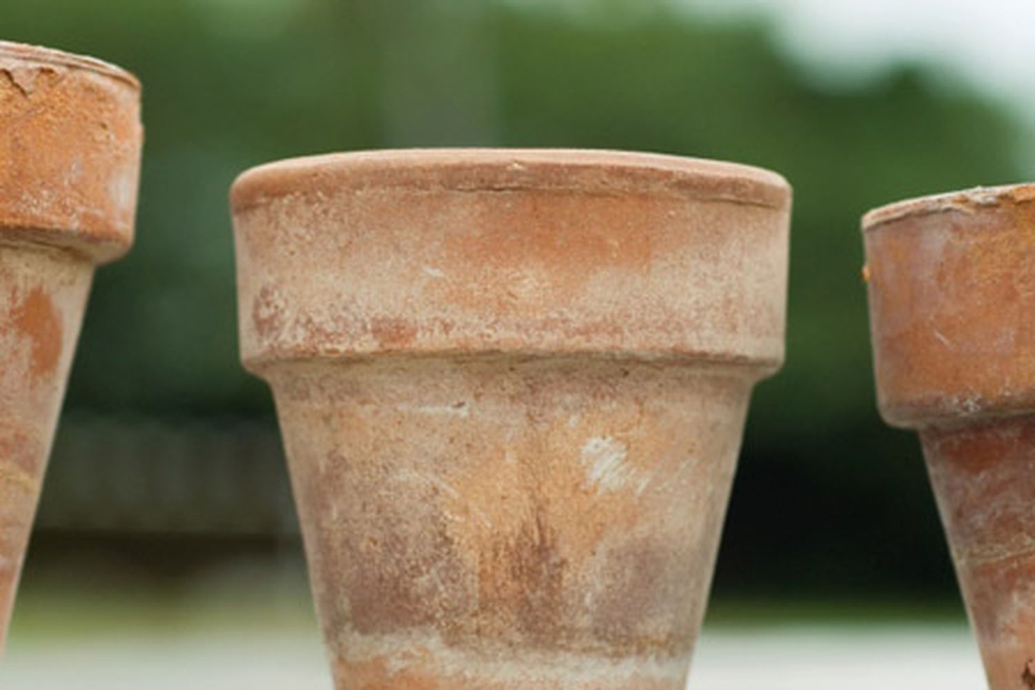 a finished terra-cotta pot with an aged look