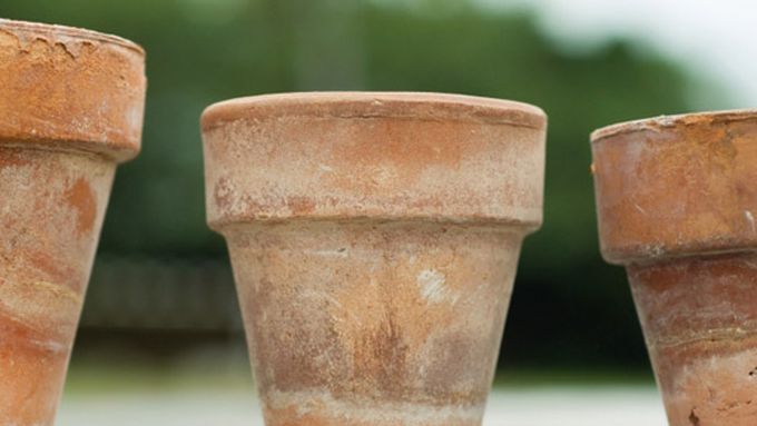 a finished terra-cotta pot with an aged look