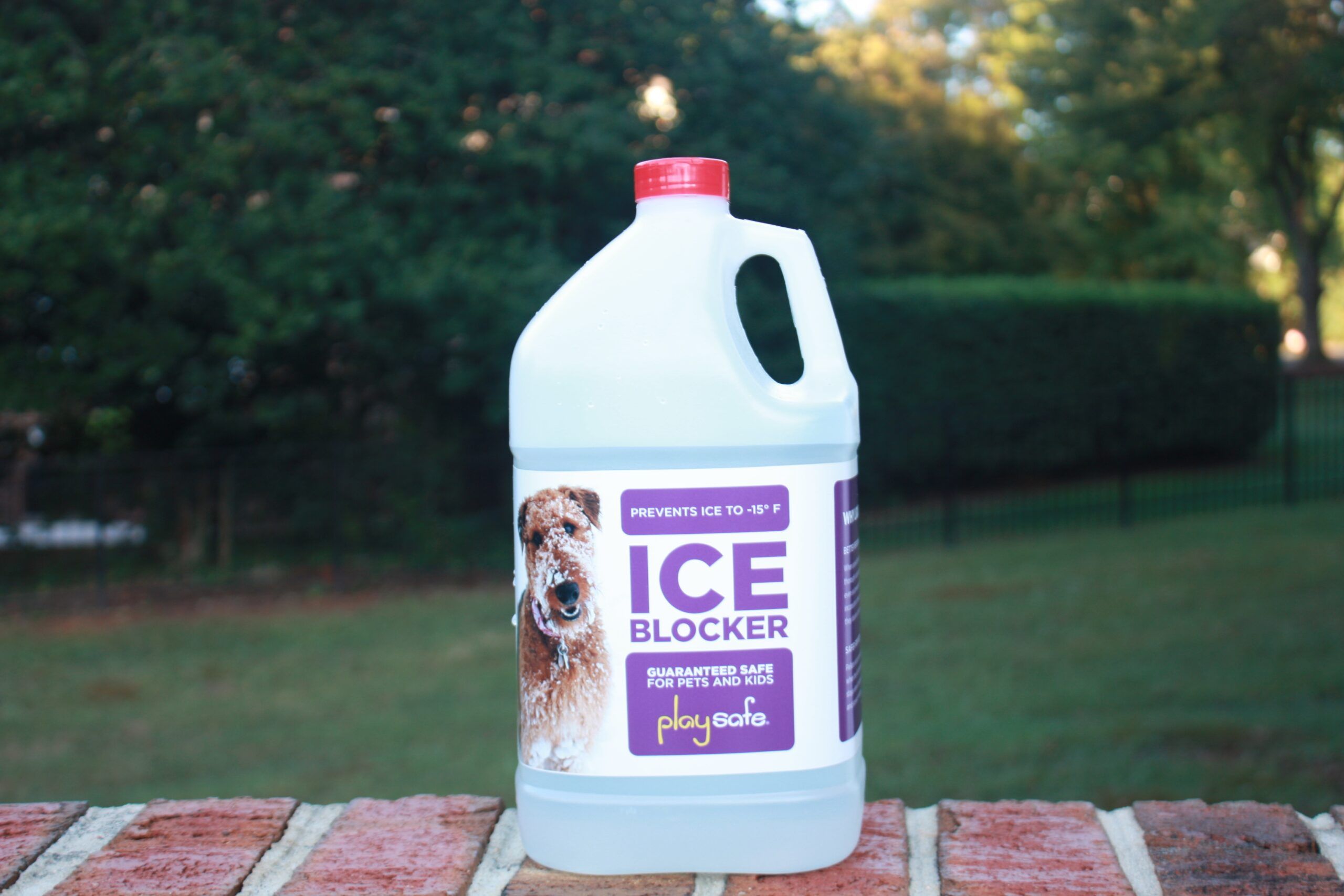 How to Pre-treat and Prevent Ice Like a Pro - This Old House