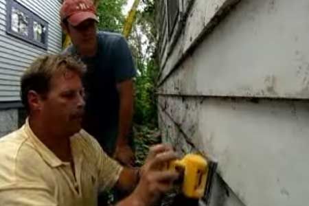 How To Remove Ivy From a House