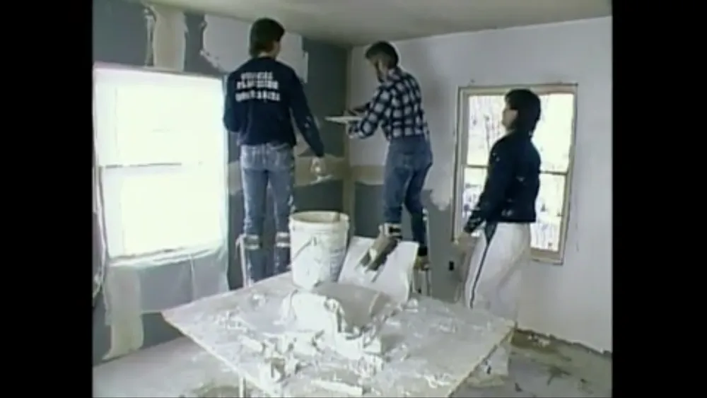 toh816