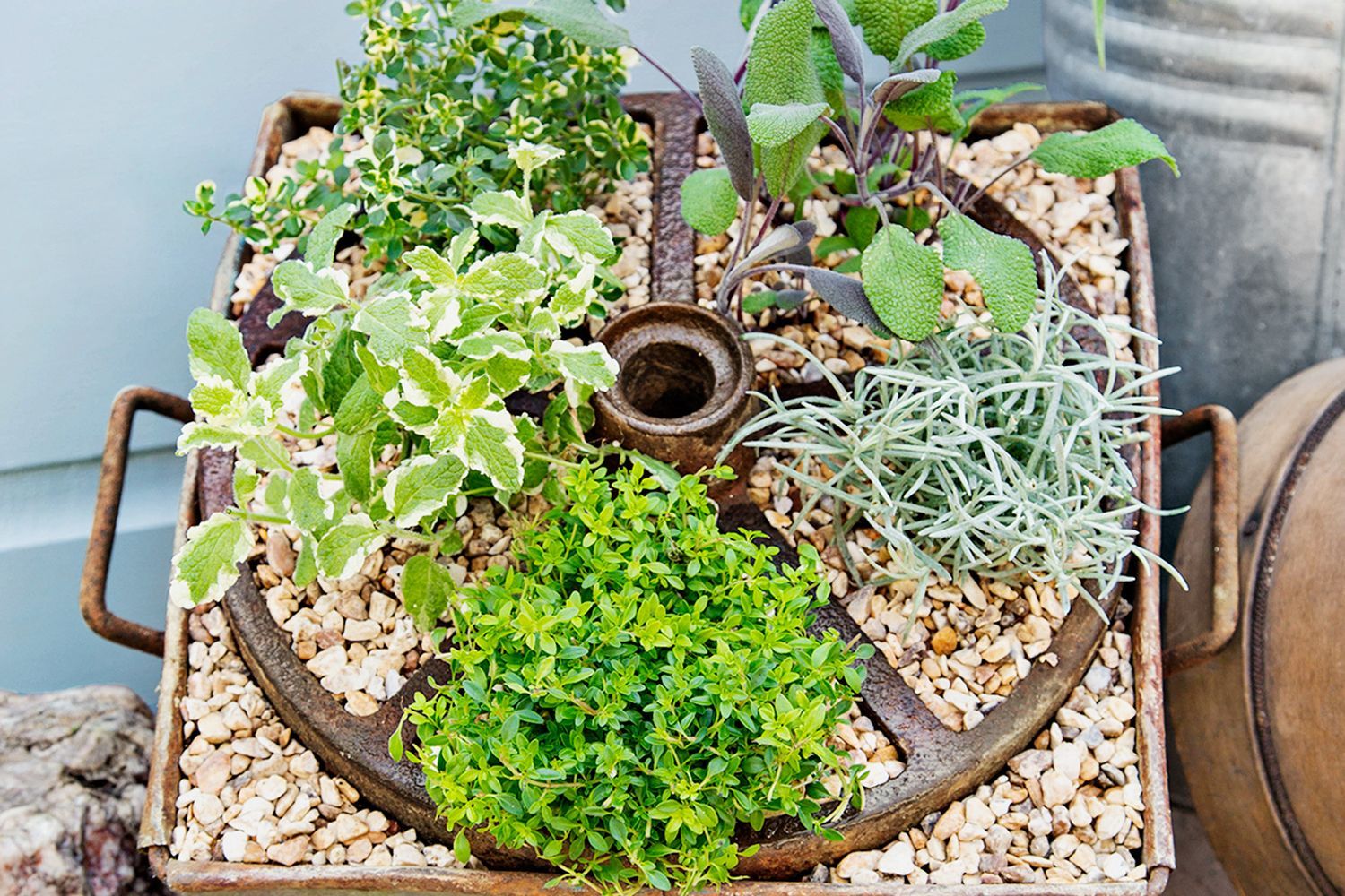 wheelbarrow_planter
