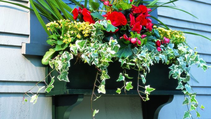 A window box hanging full of flowers.