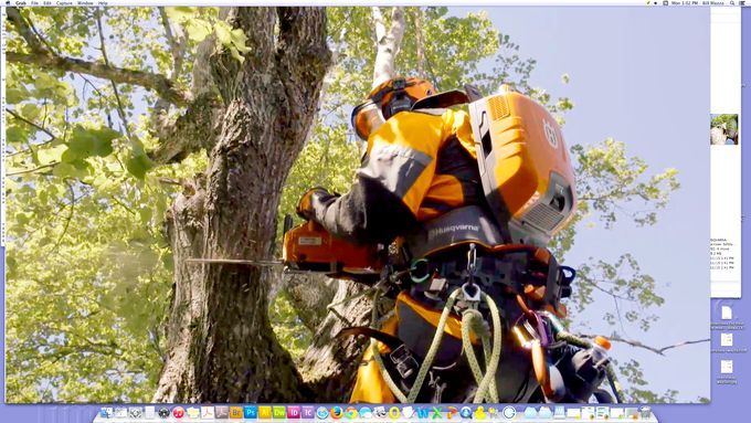 husqvarna_chainsaw_safety