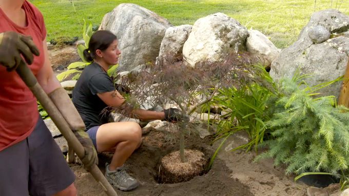 A woman working on a secret garden by planting a tree.