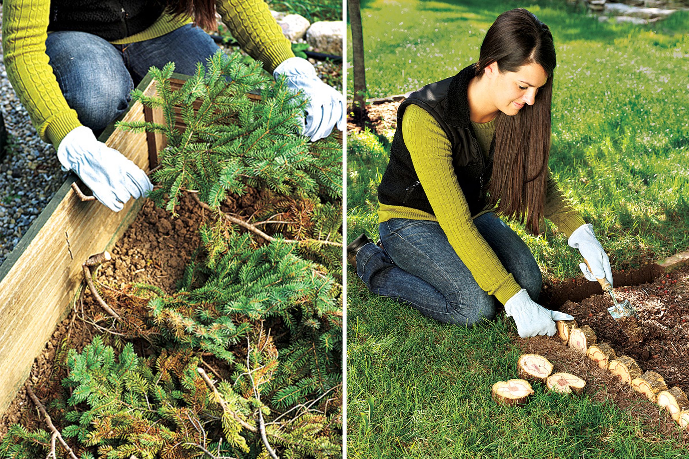 Using Christmas trees to enhance a garden