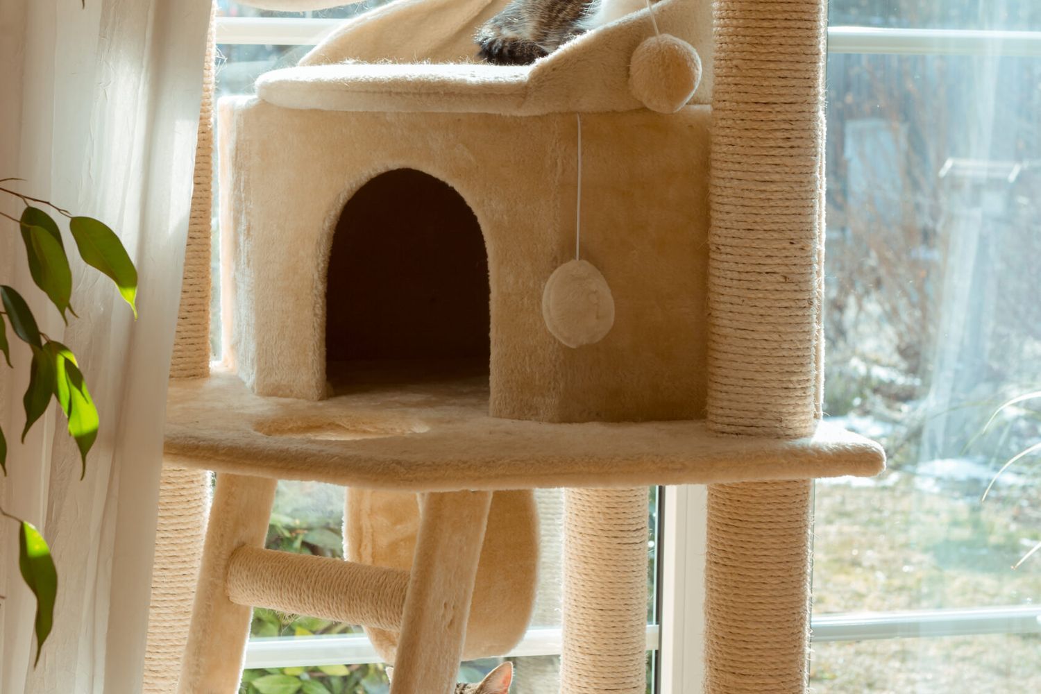 A beige cat tower with several cats lounging on it.