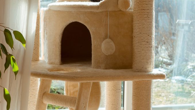 A beige cat tower with several cats lounging on it.