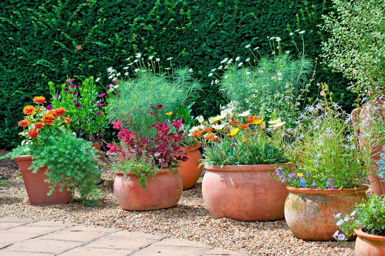 A variety of potted spring plants.