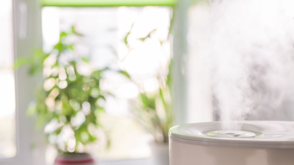 Air_Purifier_iStock_607646922