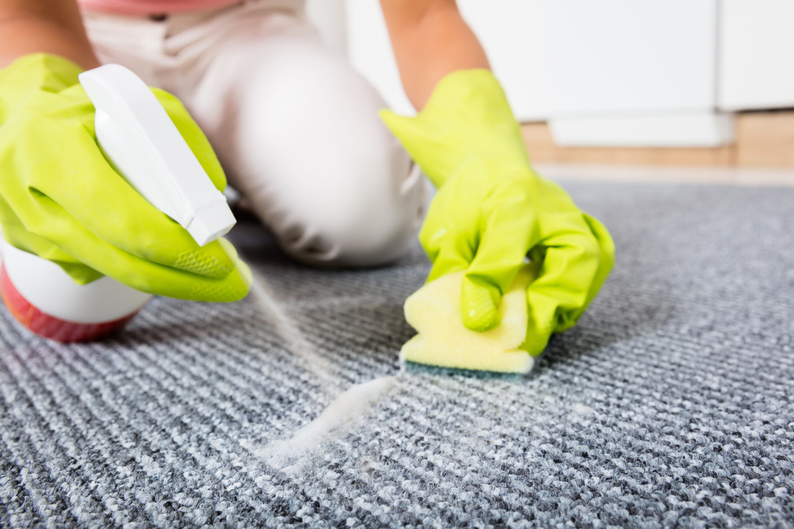 A person using a spray bottle to remove carpet stains.