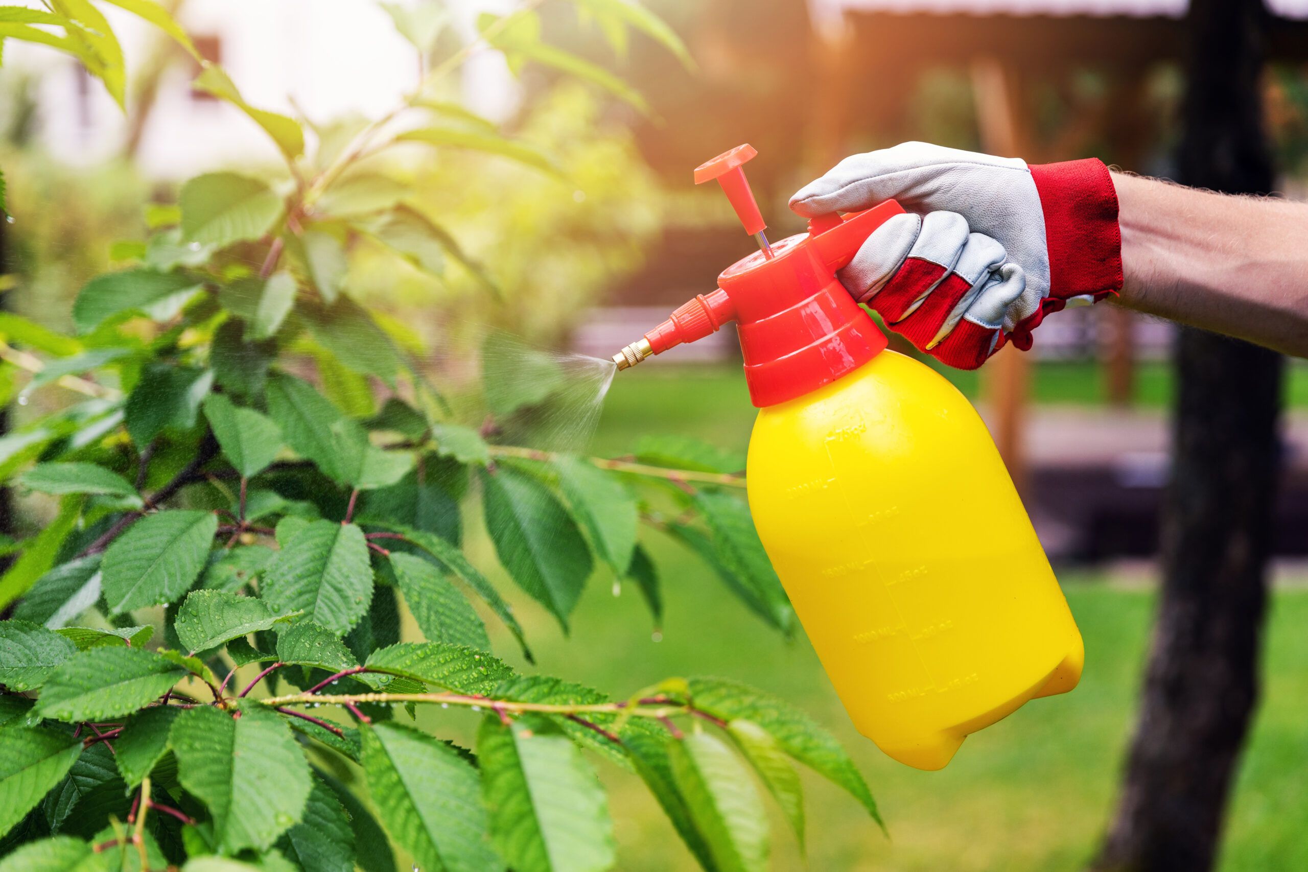 6 Best Chemical Sprayers (2023 Guide) - This Old House