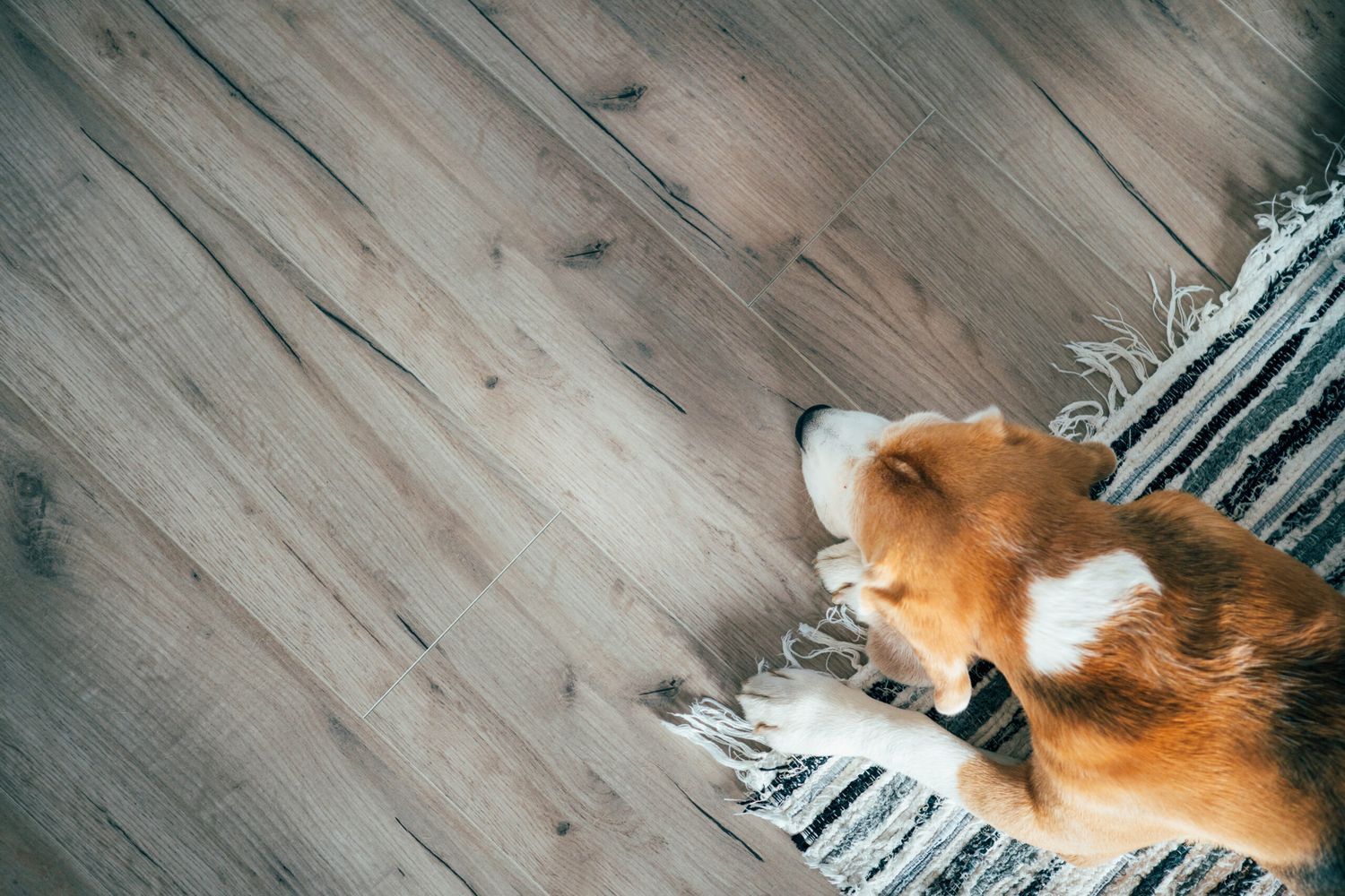 A room with laminate floors.