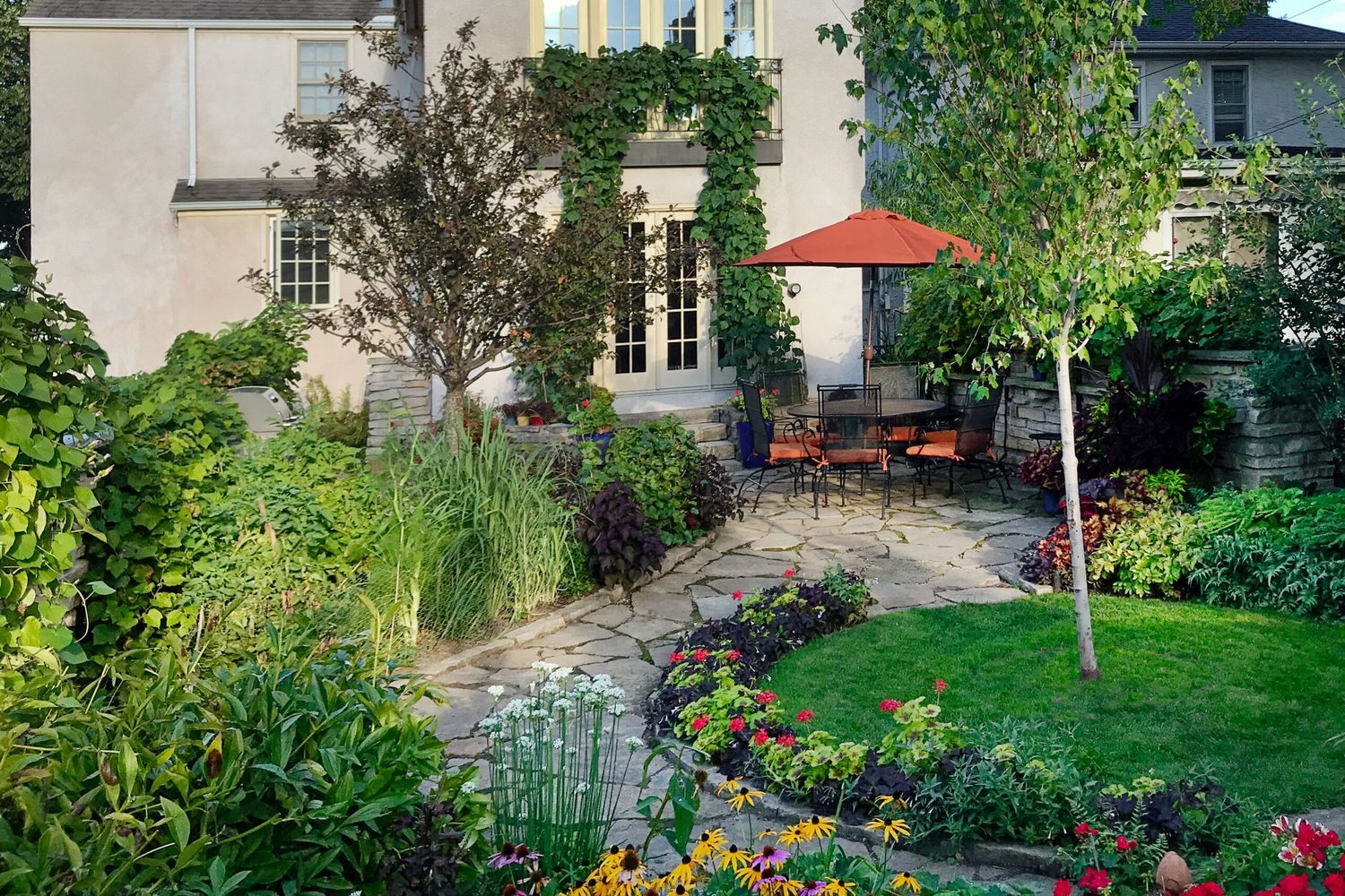 A backyard garden with several shrubs and plants.