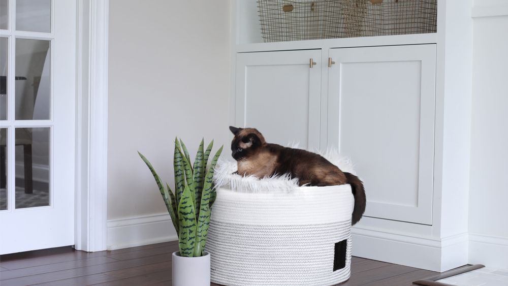 DIY_Cat_House_in_a_Basket_by_House_One___Final_Image_1