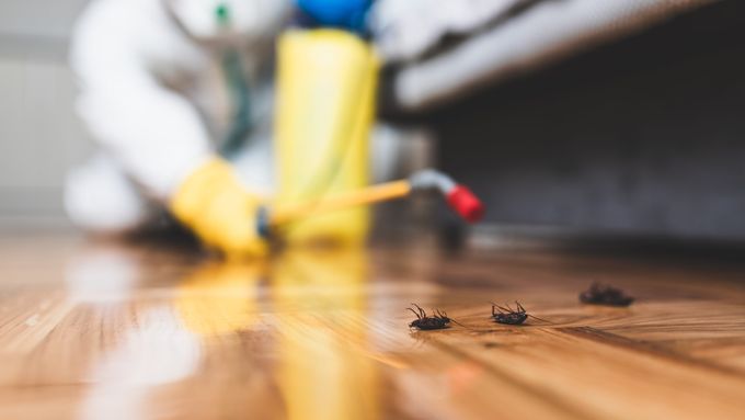 Exterminator_iStock_1158253619