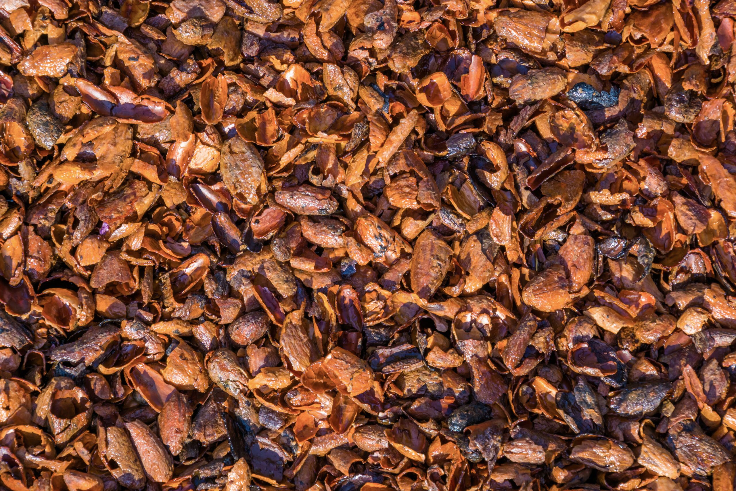 A zoomed in image of cocoa hulls.