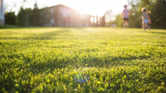 LAWN_iStock_1149062898